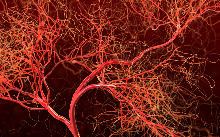 Liver blood vessels were 3d printed and implanted to heal patient's liver