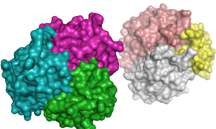 Adiponectin: A Potential Key to Unlocking New Therapies for Lung Cancer