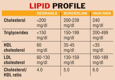 lipid profile