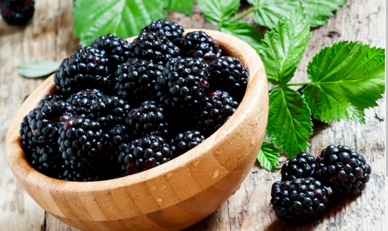 The Impact of Mulberry Fruit Extracts on Skin Aging: Comprehensive Assessments of Their Role in Hindering Glycation and Enhancing Antioxidant Functions, Both in Lab Tests and Real-World Applications.