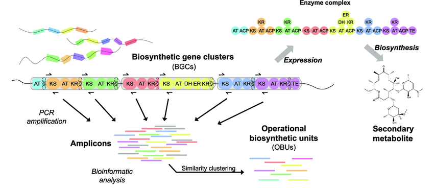 Newly Discovered Gene Cluster Linked to Hypnotizability