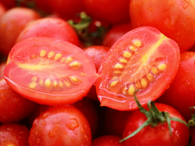 Tomato seeds may help combat varicose veins