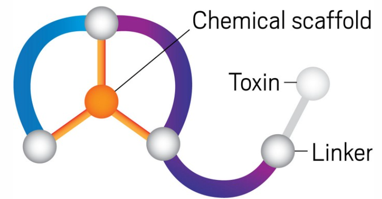 Scientists Develop New Class of Medicinal Drugs