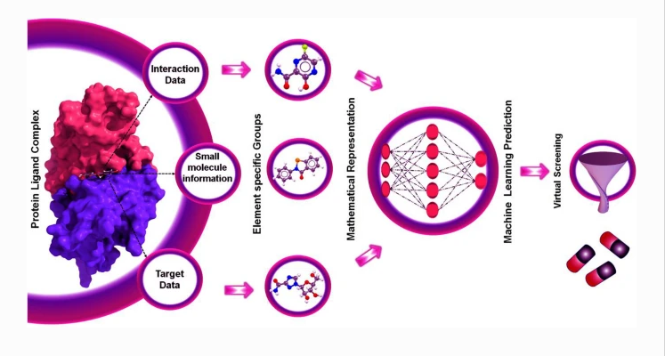 Uncovering the potential of quantum machine learning algorithms for drug discovery